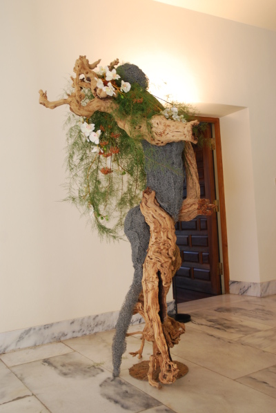 Dafne di R Casati e C. Vergani